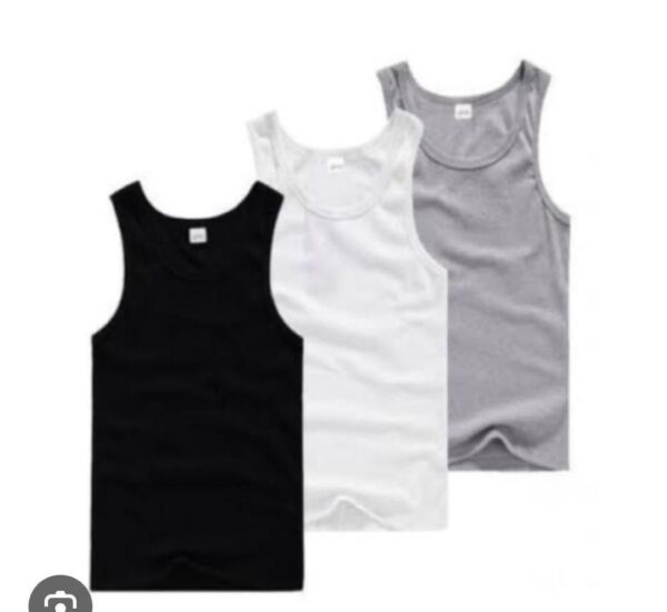 3IN1 COLOUR SINGLET4.5