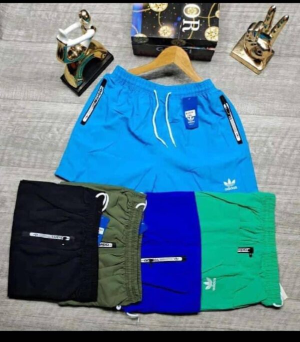 BEACH SHORT3.5